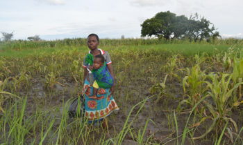 Le Parlement européen doit faire preuve de plus d’ambition en matière de migration climatique, exhortent les groupes de la société civile.