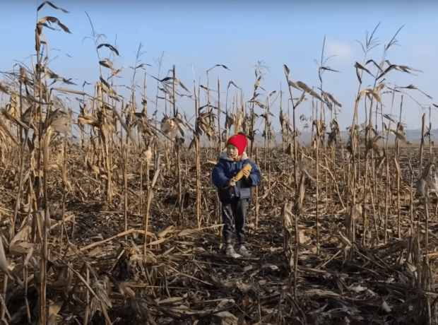Les migrants climatiques européens existent aussi – META