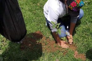 Marvin Daniel Utuy Hernández