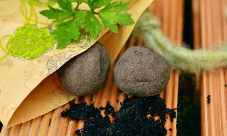 ClimateofChange Seed-bombing Lab: Ελάτε να φτιάξουμε σπορο-βόμβες!