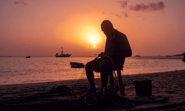 Os bastidores do financiamento climático