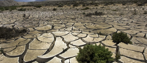 Zahtevamo podnebno nevtralnost do 2040!