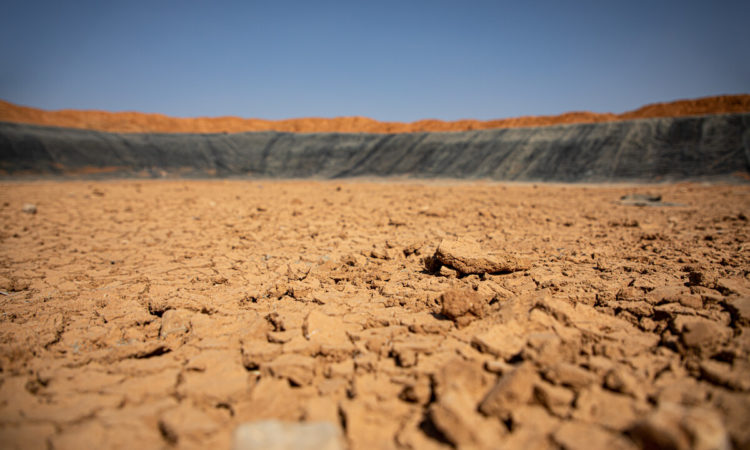 Migración climática: 5 cosas que debemos saber